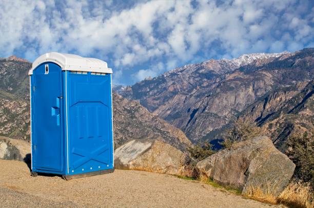 Best Sanitation services for porta potties  in De Soto, KS